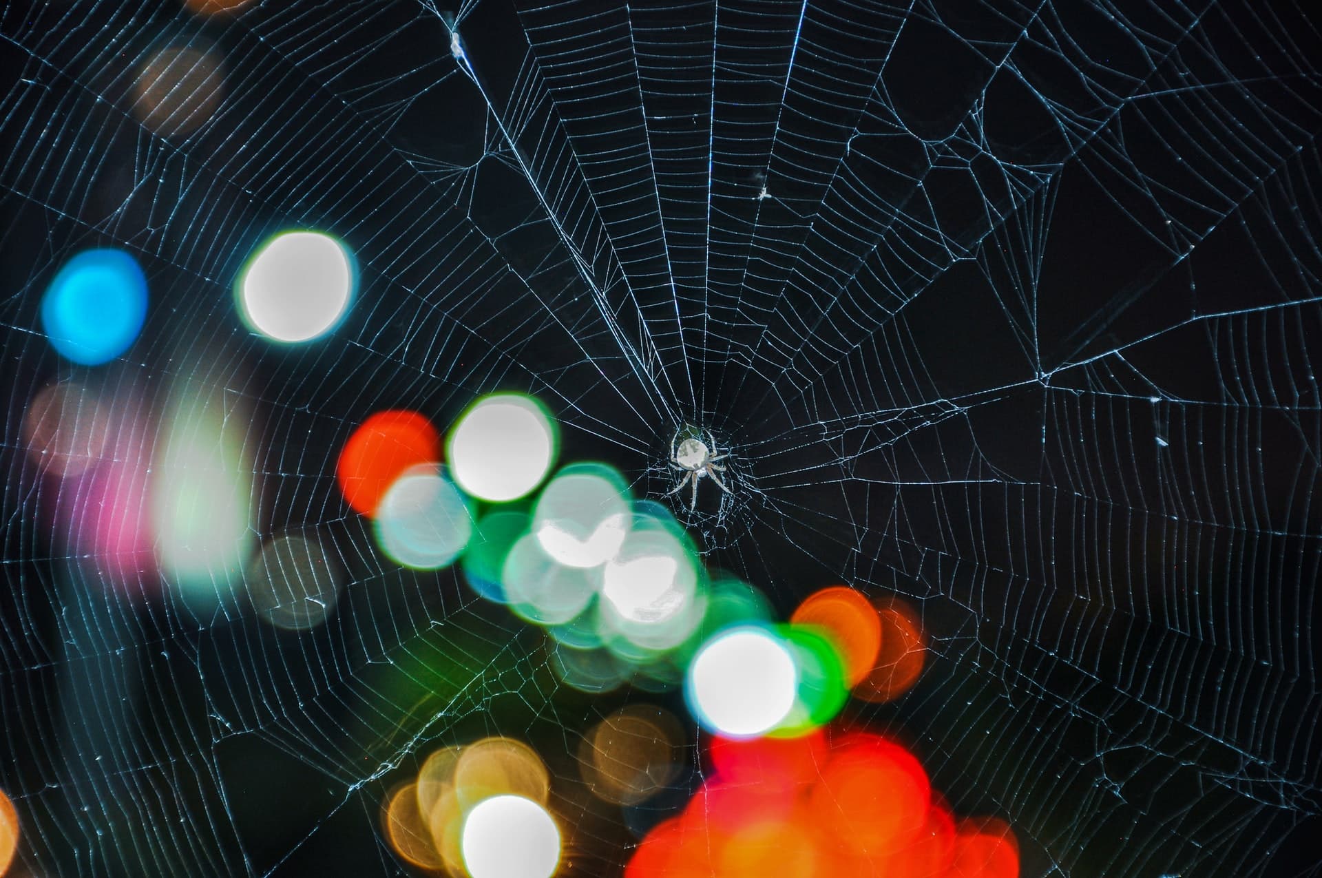 What & Where to Learn - Web Development Roadmap in 2020